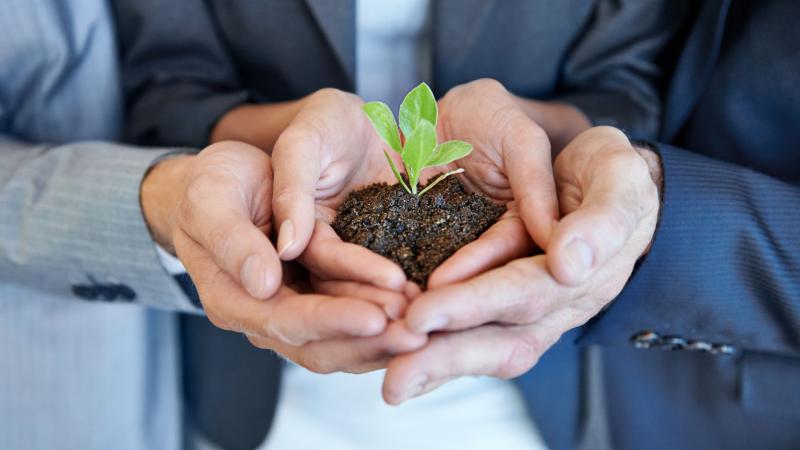 Práticas Sustentáveis: Como Líderes de Mercado Estão Inovando Práticas Sustentáveis: Como Líderes de Mercado Estão Inovando