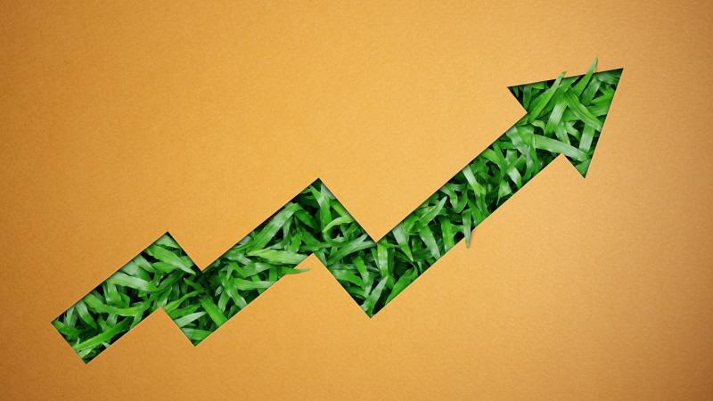Com menos de 4 meses para a COP30, chegou a hora de mostrar que ESG é mais que propaganda