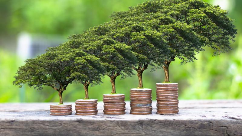ISO 50001 x ISO 14001: Entenda as diferenças e descubra qual certificação sua empresa precisa