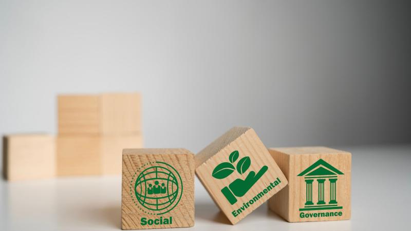 Consultoria ESG: como funciona, para que serve e por que sua empresa precisa estruturar essa estratégia agora