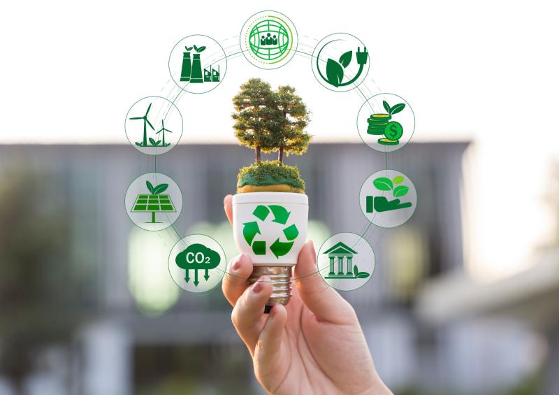 ESG nas empresas brasileiras: como equilibrar lucro, sustentabilidade e governança na prática