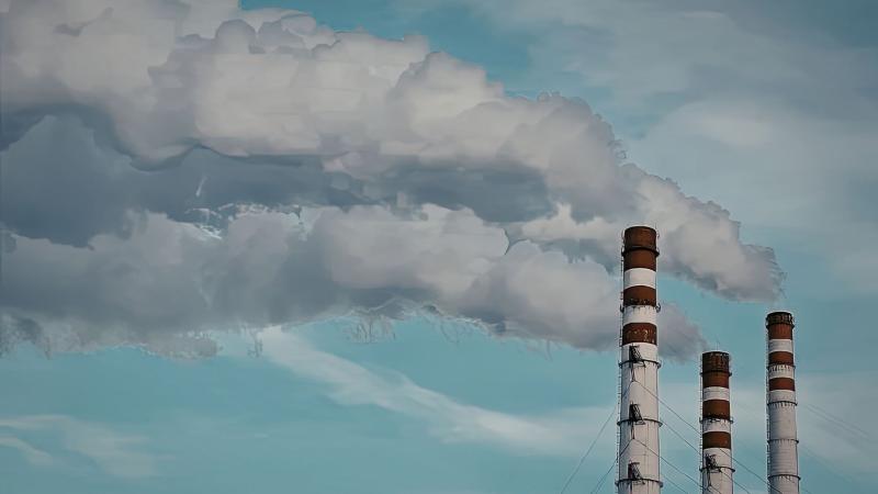 Impacto ambiental na economia: por que 55% dos brasileiros já valorizam critérios verdes nas compras