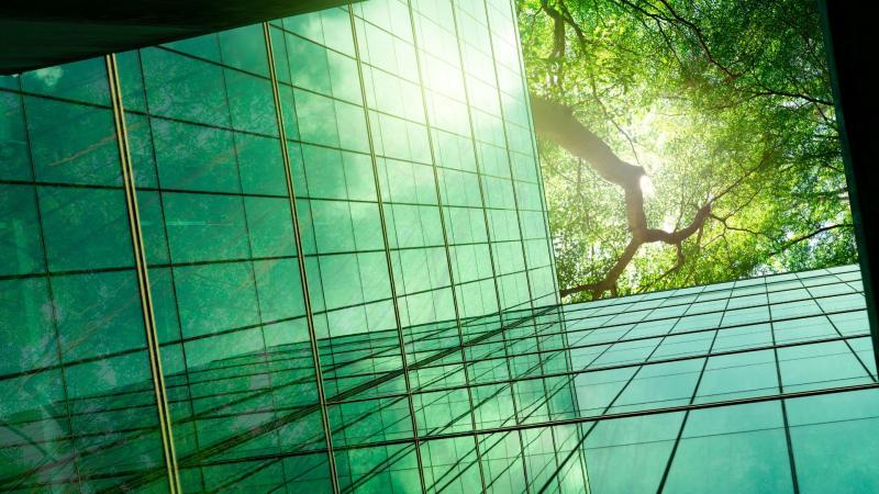 ESG estratégico: por que ele deixou de ser discurso e virou eixo central das empresas modernas