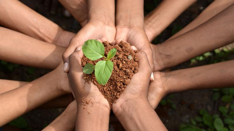 ISO 14001 e redução de custos: como sustentabilidade pode aumentar o lucro da sua empresa