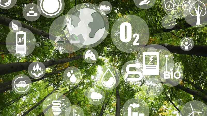 Como as práticas ESG impulsionam a criação de valor nas organizações